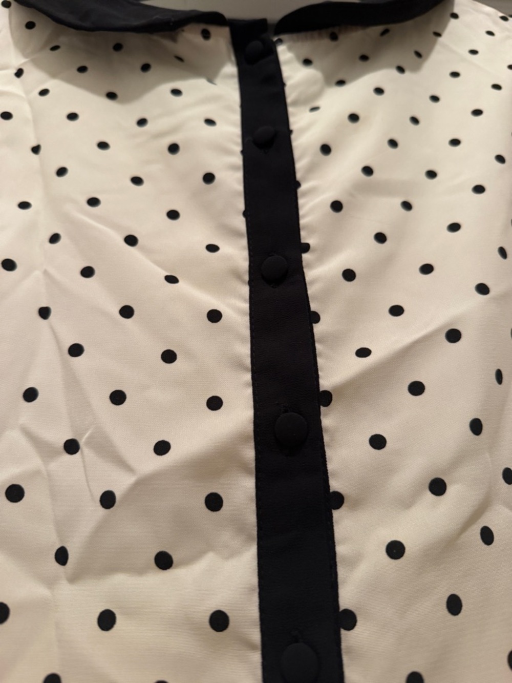 Forever 21 Black Dress with Cream Polka Dot Lining - Picture 4 of 4